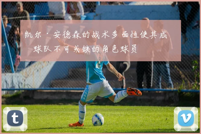 凯尔·安德森的战术多面性使其成为球队不可或缺的角色球员