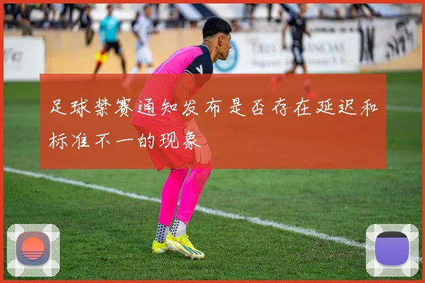 足球禁赛通知发布是否存在延迟和标准不一的现象