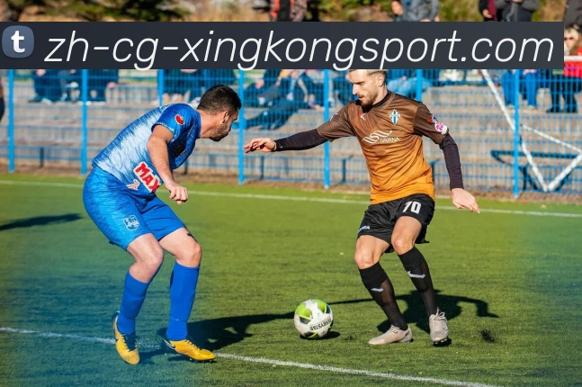 星空体育平台生态图